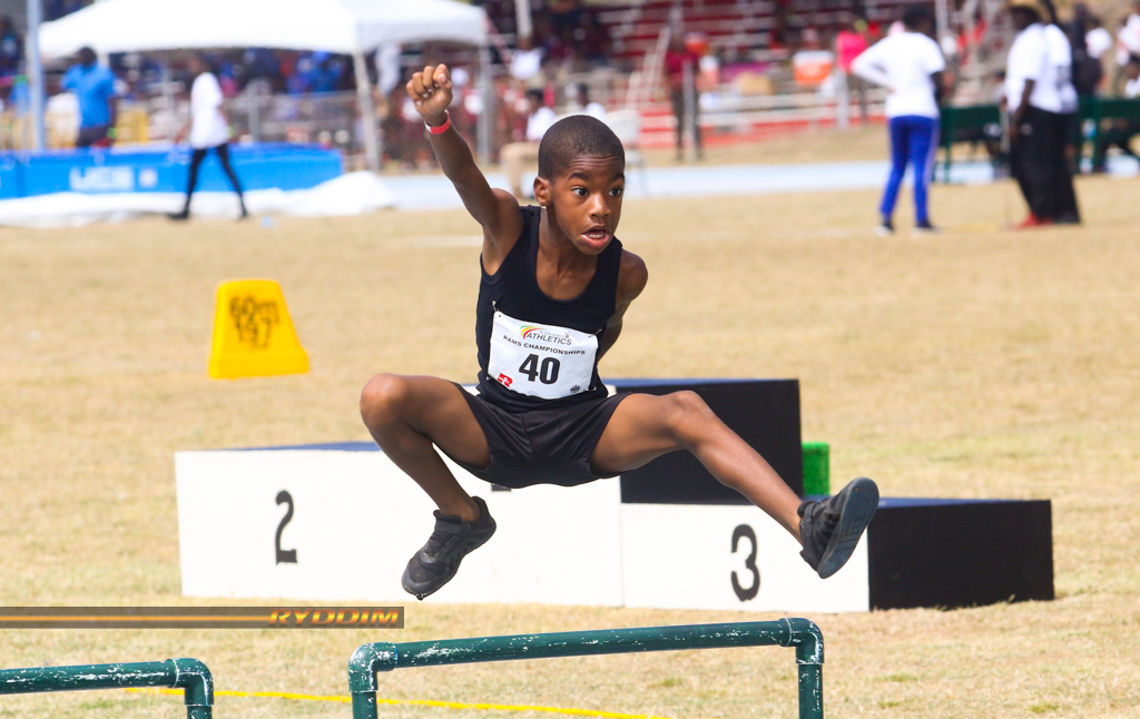 hurdles track and field